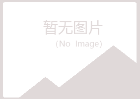 黄山喧哗工程有限公司